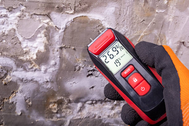 Best Crawl Space Mold Removal  in Cos Co, CT