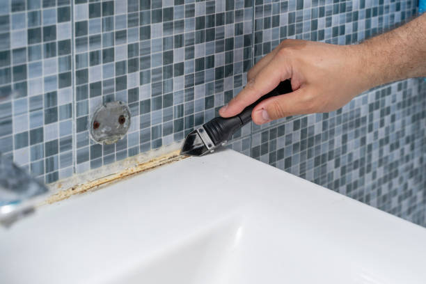 Best Best Mold Removal Companies  in Cos Co, CT